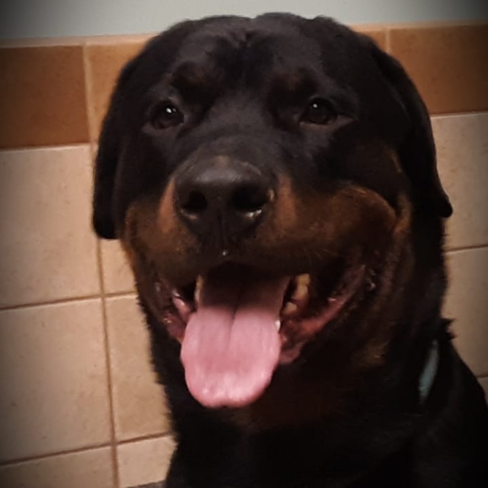 Meet your Posher, Michele